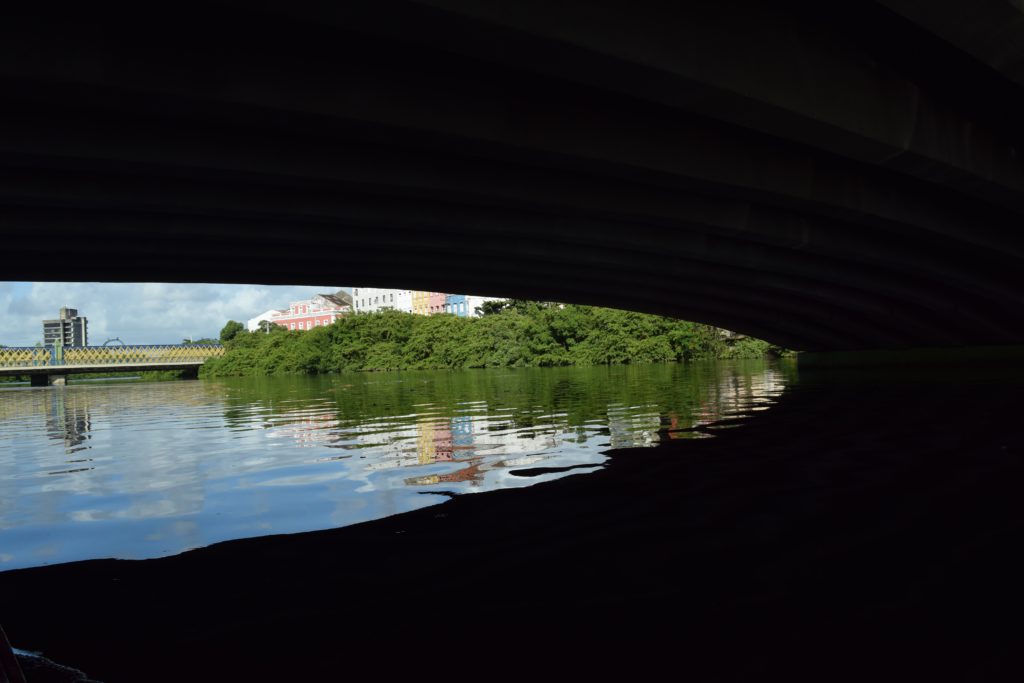 DSC_4709