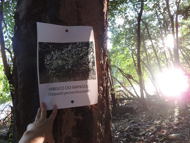 Imagem: Bruna Roazzi/INCITI